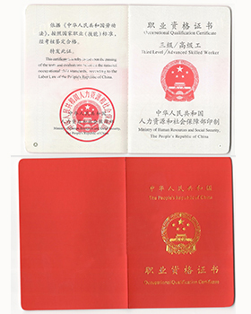 職業資格：三級